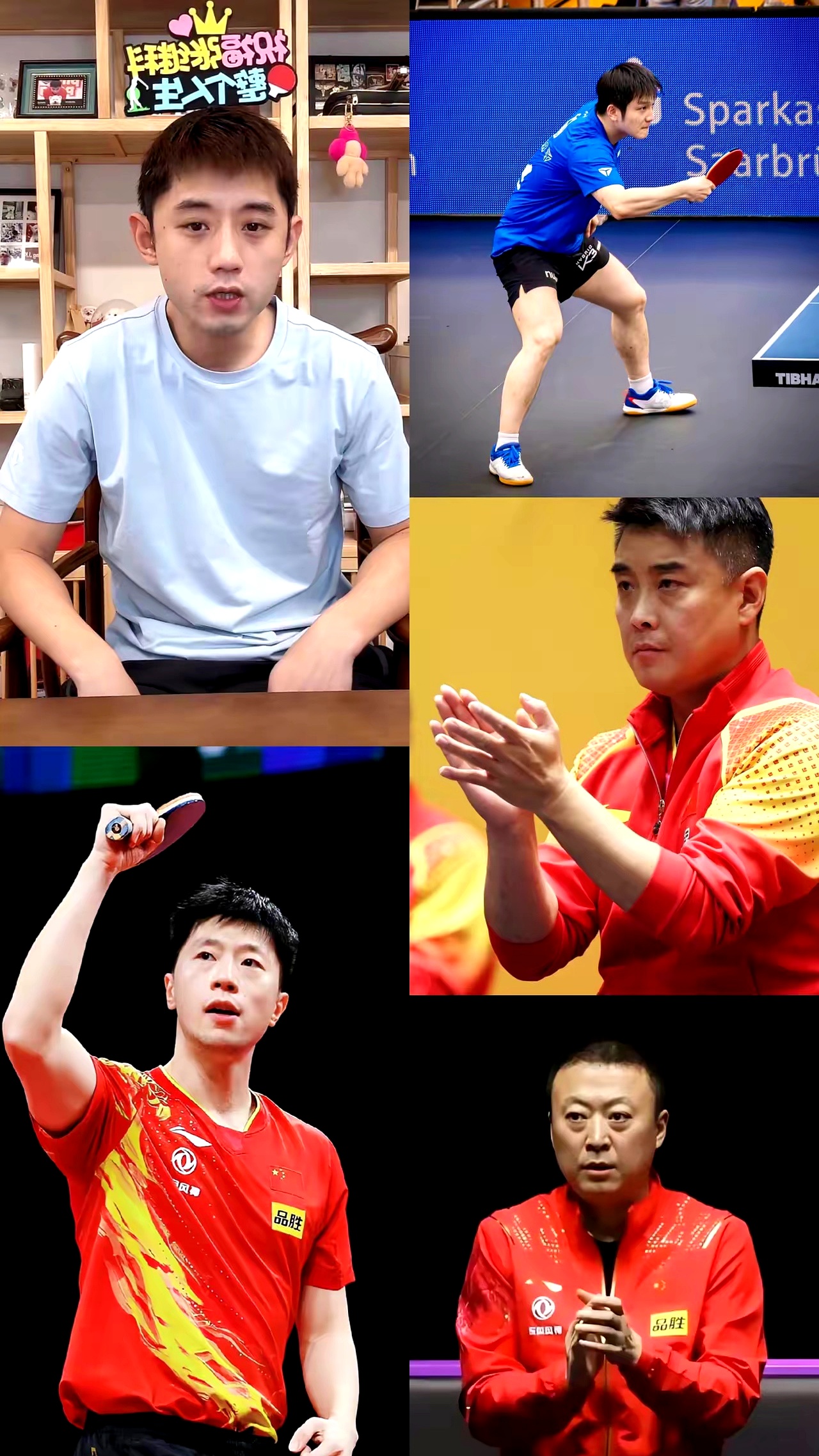 日本队横扫韩国队，张继科状态火热的简单介绍